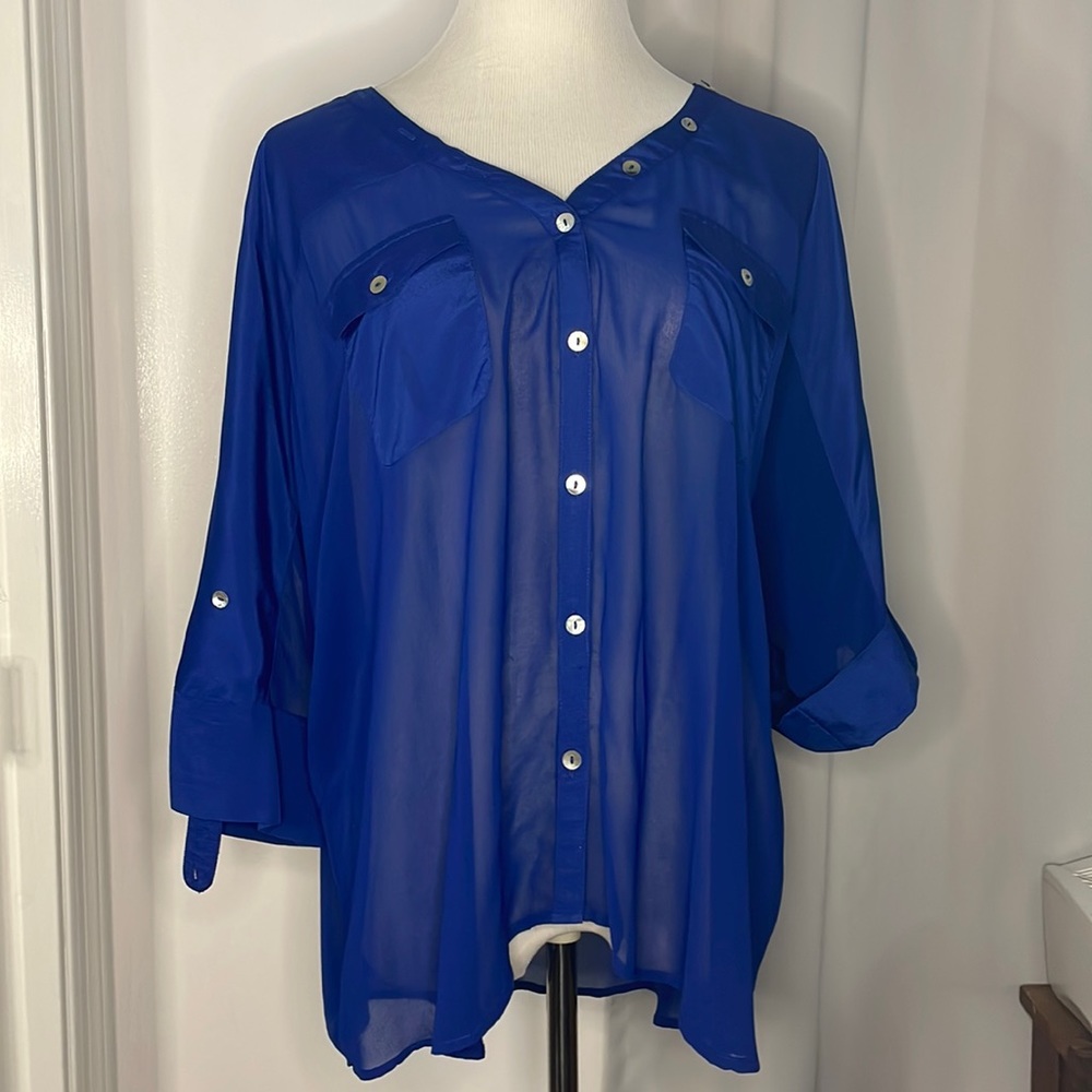 Daniel Rainn royal Blue sheer button down in size L runs big